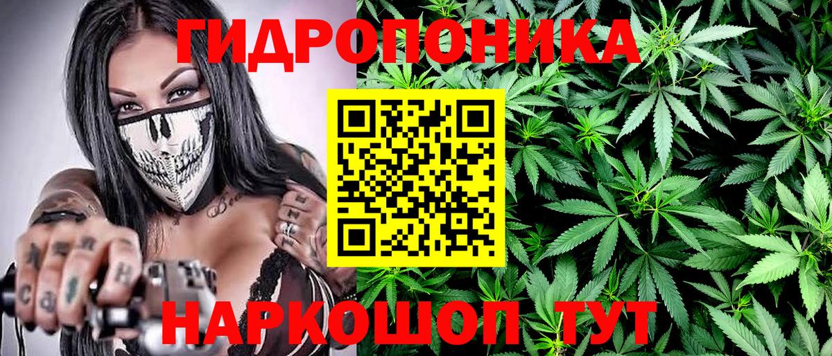 МАРИХУАНА гибрид  Вход с VPN  Бошки Шишки сатива  Ухта  Марихуана White Widow  Конопля тримм 